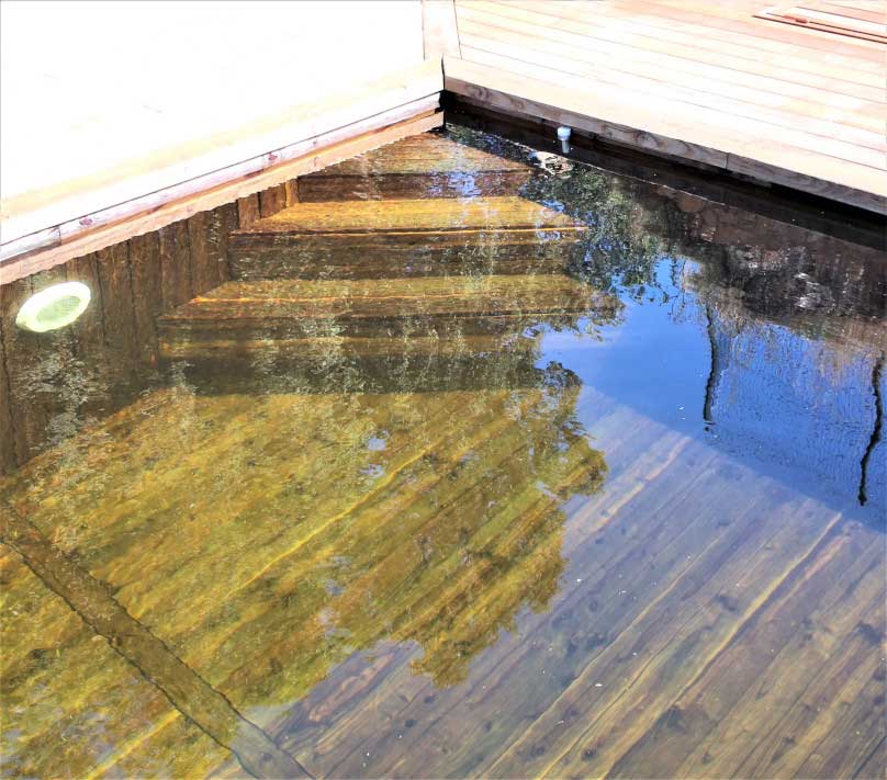 piscine_bois_biopooltech_escalier_d_angle