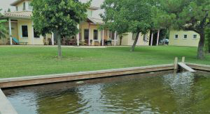 Lee más sobre el artículo Aviso de Marie Louise P. (31) sobre su piscina BIOPOOLTECH