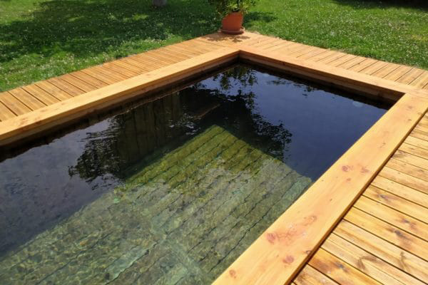 Piscine naturelle à Lyon