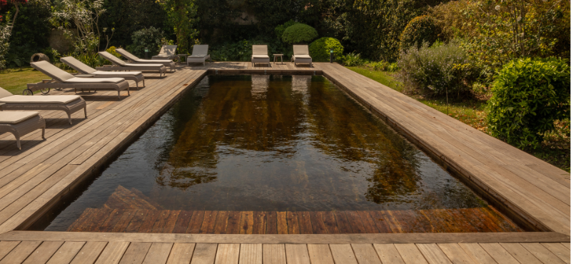 Piscine bois immergé Biopooltech