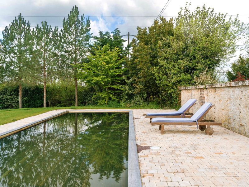 Piscine écologique